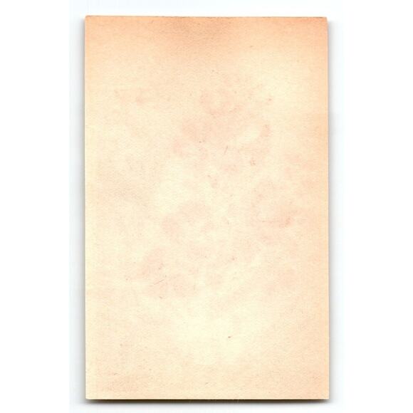 1920's Flower Seed Art Print GIROFLEE JAUNE Lithograph Original Vintage Unused - Picture 2 of 2